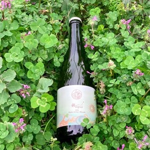 【2023】香月ワインズ 綾Topia  KATSUKI WINES AYA TOPIA