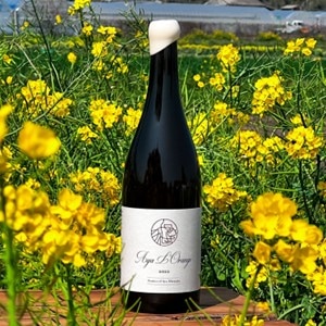 2022】香月ワインズ 綾ロランジェ Katsuki Wines Aya L'orange