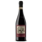 2019ۥ顦ԥͥåǥꡦХХ쥹La Spinetta Starderi Barbaresco