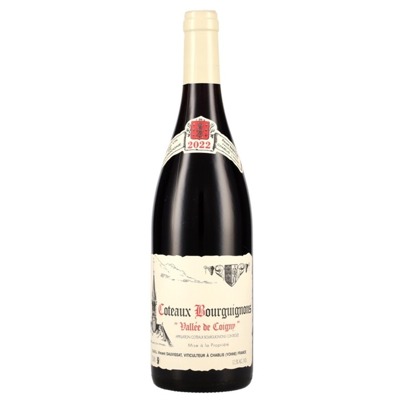 【2022】ヴァンサン・ドーヴィサ　コトー・ブルギニヨン　Vincent Dauvissat Coteaux Bourguignons