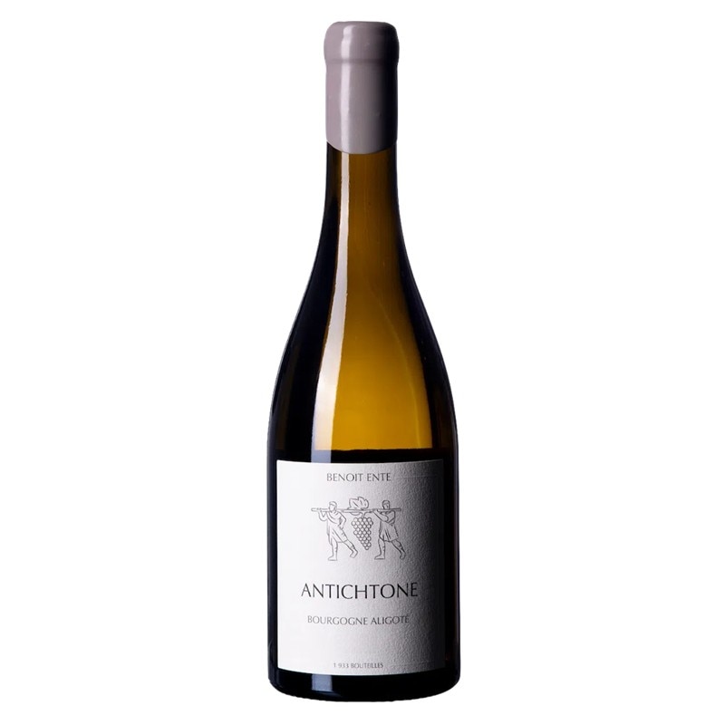 【2021】ドメーヌ・ブノワ・アント　ブルゴーニュ　アリゴテ　アンティクトーヌ　Domaine Benoit Ente Bourgogne Aligote Antichtone