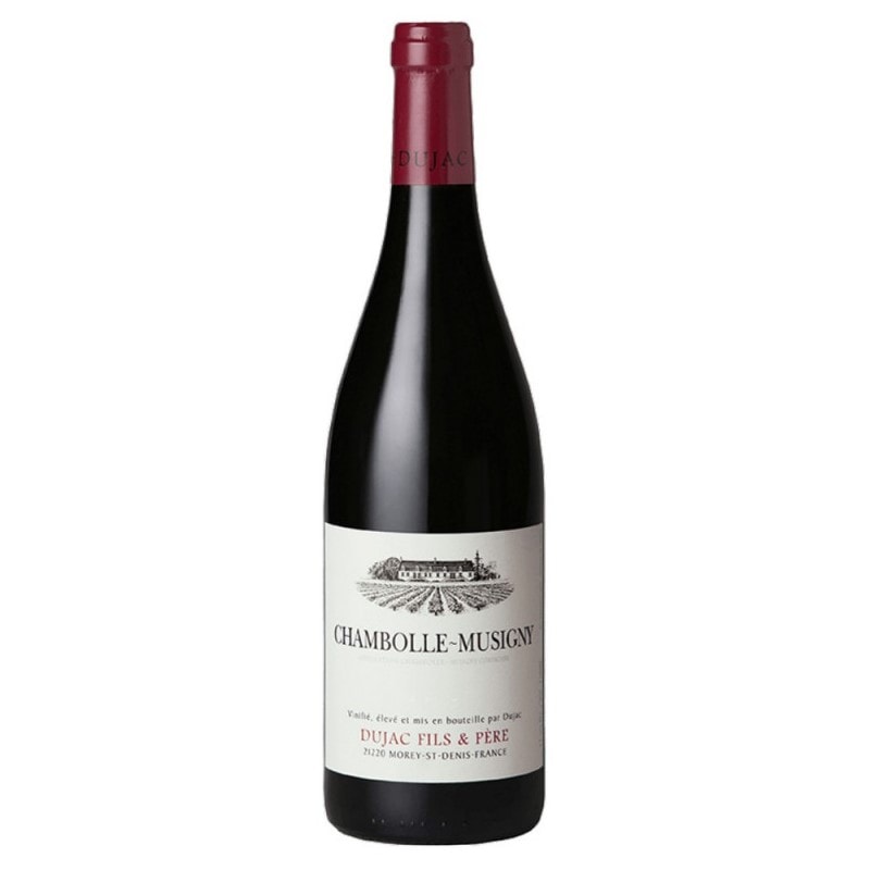 【2023】デュジャック・フィス・エ・ペール  シャンボール・ミュジニー Dujac Fils et Pere Chambolle-Musigny