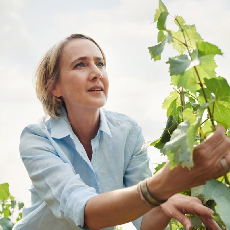 NV】クリュッグ グランド・キュヴェ KRUG GRANDE CUVEE 173 EME EDITION