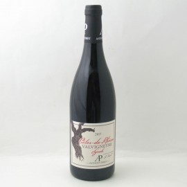 Anthony Paret Cotes du Rhone Valvigneyre 2022