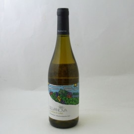 Selvanova IGT La Corta di Luino Bianco 2021