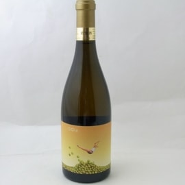 Ca��Nestruc Idoia Blanco 2021