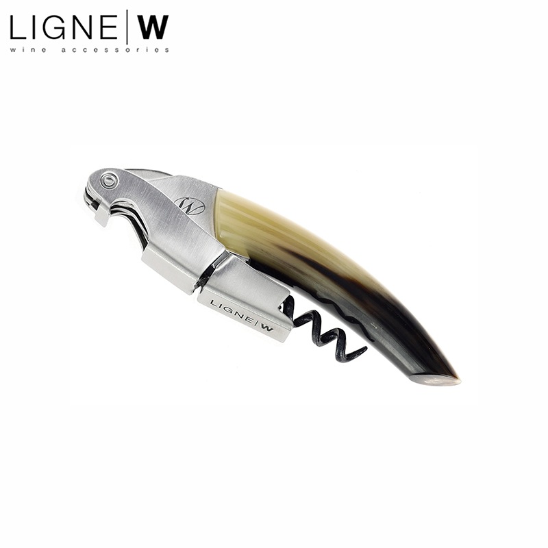 ��˥塼���ǥ�֥�٥��������ͥ��㡼 �֥饦��ۡ���