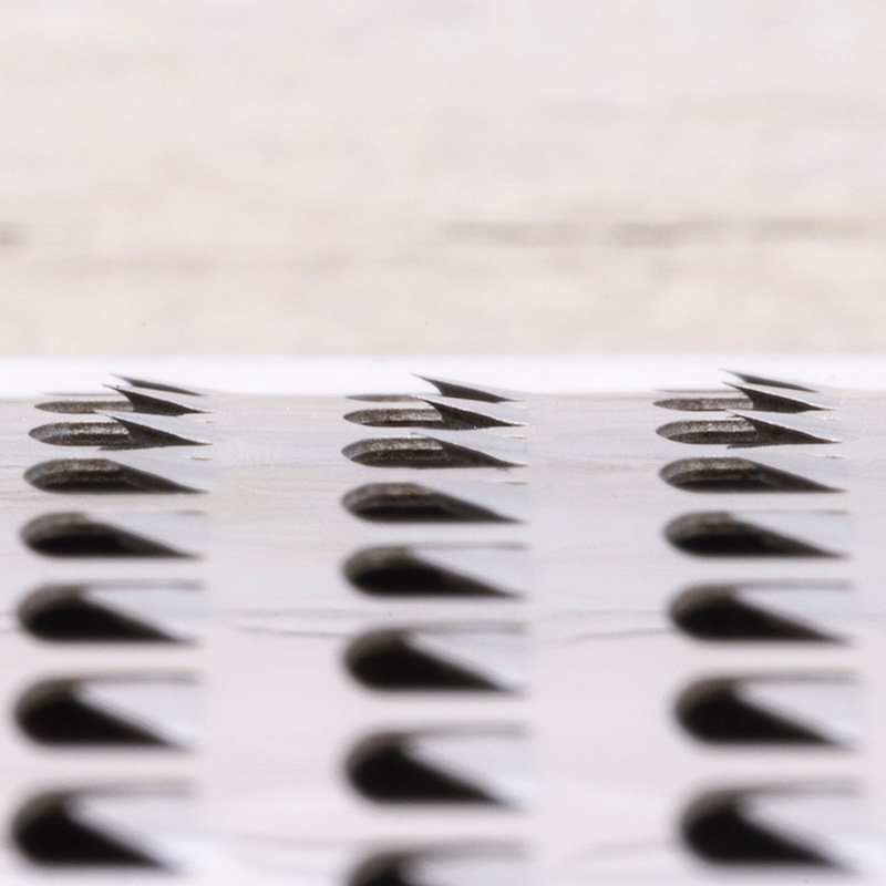 ���� ���쥯��100 ���졼����