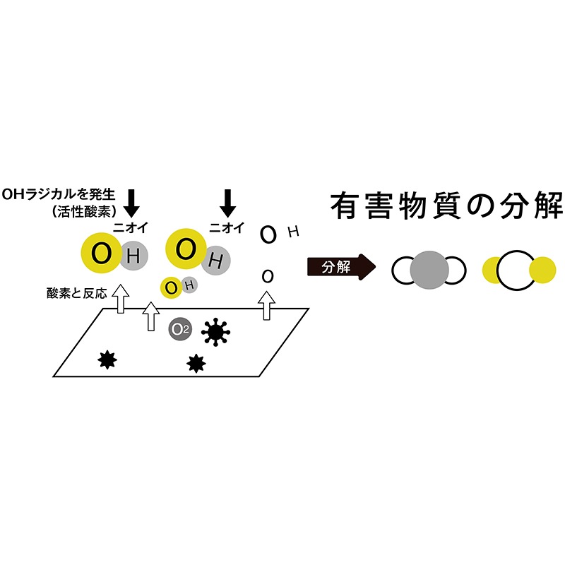 ��ץ��ǥ塼��������