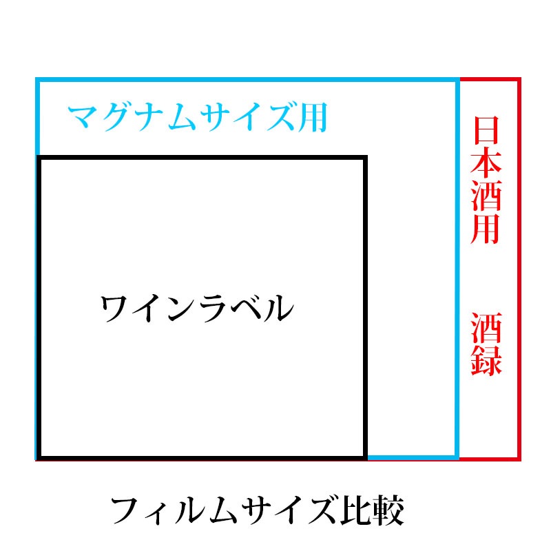 �ޥ��ʥॵ������ �磻���٥�쥳��������5������/1�ȡ�