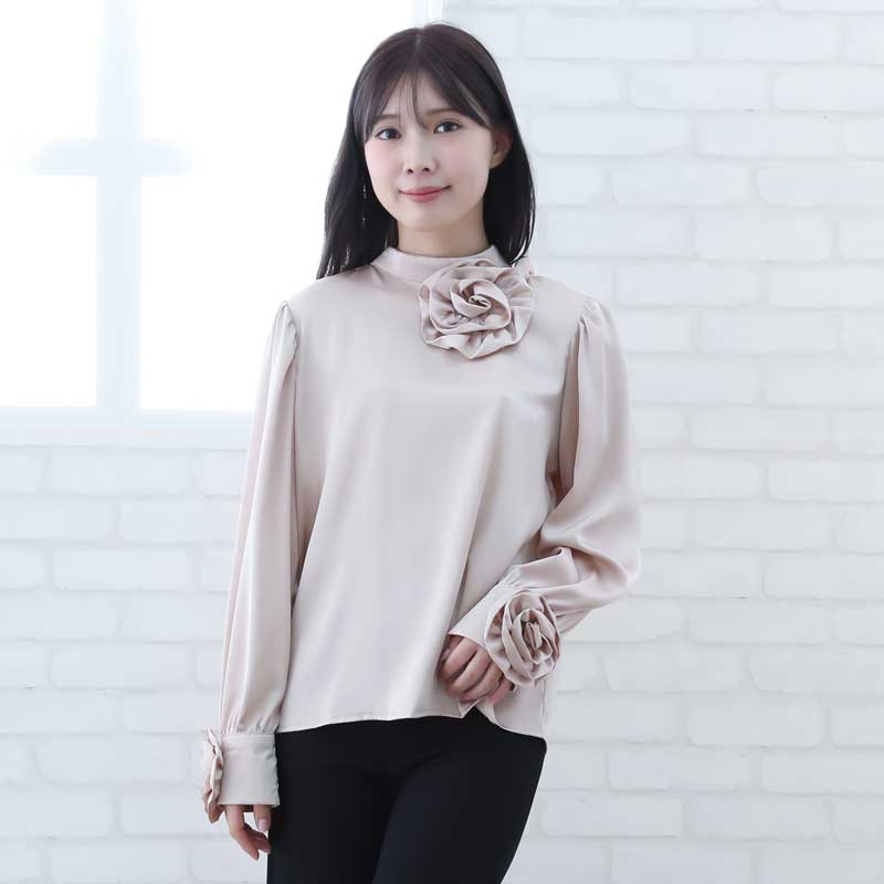 ���ղ� �����饹 �֥饦�� ��ǥ������ե��å���󥦥��� �١����� 23727be-k