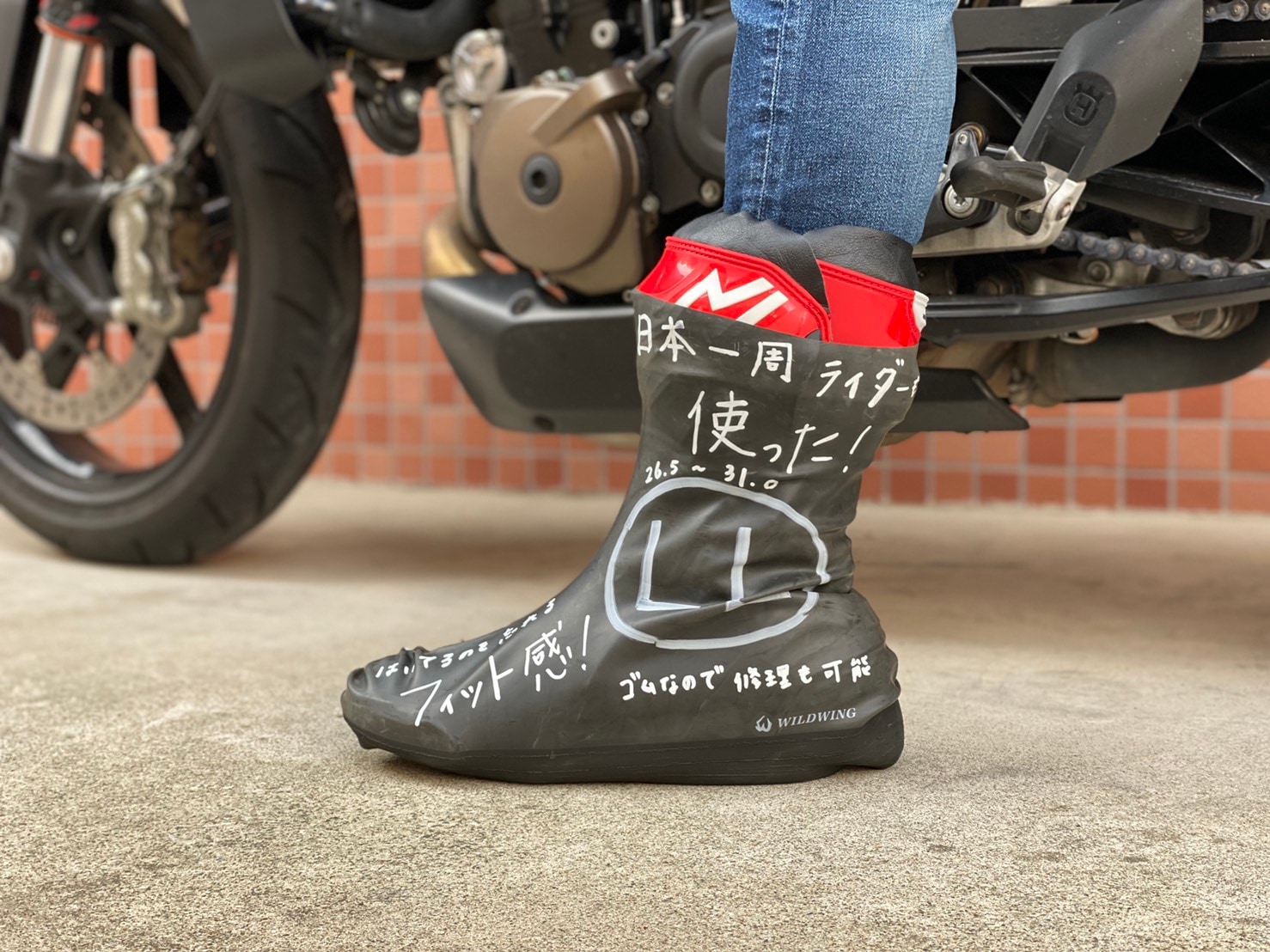 쥤֡ĥС SC-001 ֥å 塼С ̵ ɿ С  ϥå Х ȥɥ