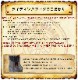 ���� �磻��ɥ����� �ե��륳�� �ե�å����åץ�ǥ� �ڸ���� WWM-0001ATU-FS �֥�å��ߥ���� �ܳ� �Х����֡��� ����̵�� WILDWING ��󥵥�����̵�� �饤���� �Х����� ���塼�� ��� ��ǥ�����