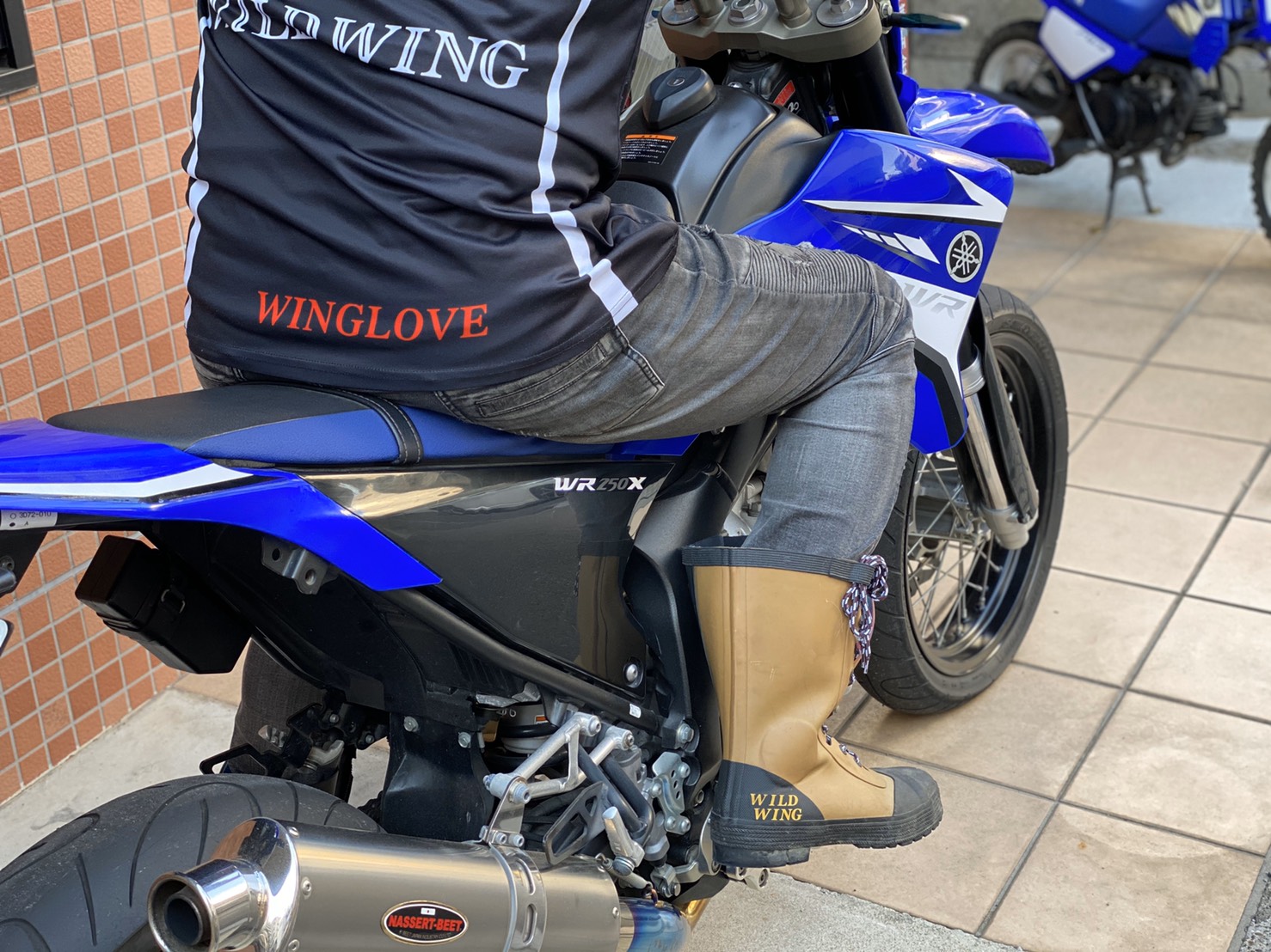 �����å�T����� TS-01 �䴶�饤�ǥ���T����ġ���<����̵��>