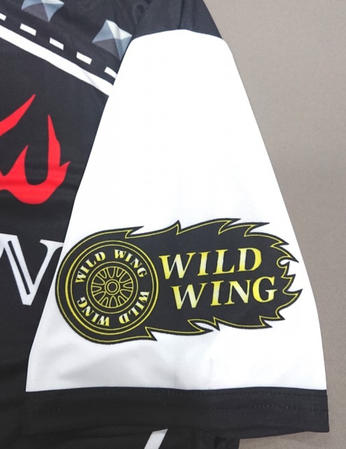 �����å�T����� TS-01 �䴶�饤�ǥ���T����ġ���<����̵��>