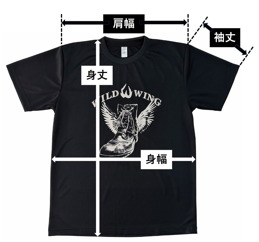 T����� ������TS-02 ���ɥ饤������100����<����̵��>