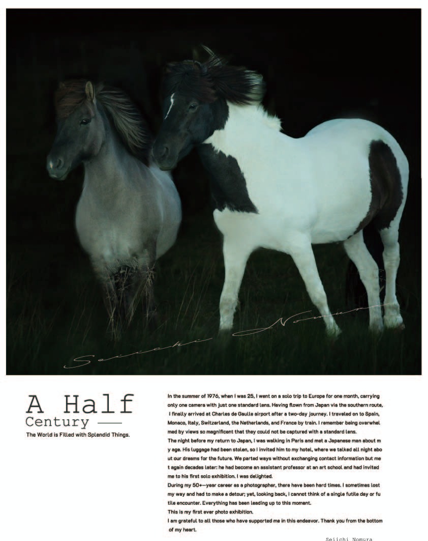 野村誠一 A Half Century HORSES T-shirt / Light gray