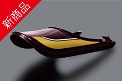 ǥȡåɡ󥰥ơ륫롡2025ǯZ900RS
