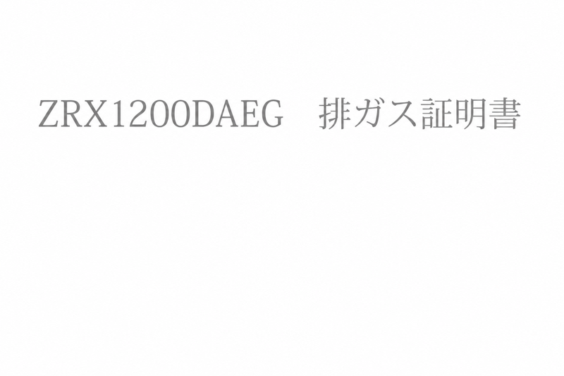 �ӥ���������ZRX1200 DAEG��JMCA1114116007