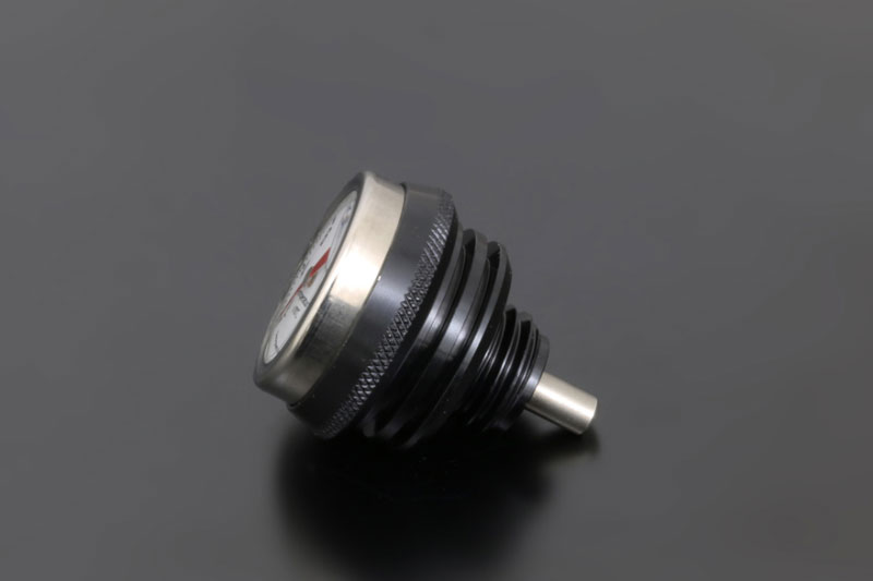 Z900RS���󥸥󥵡��⥲���� M20 (�֥�å�)