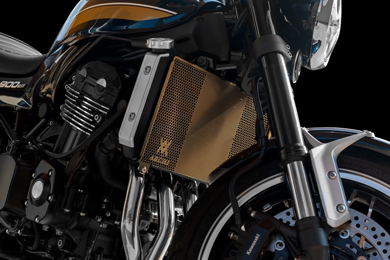 إåץƥ(饸)ver.ARCHIɡZ900RS/CAFE21