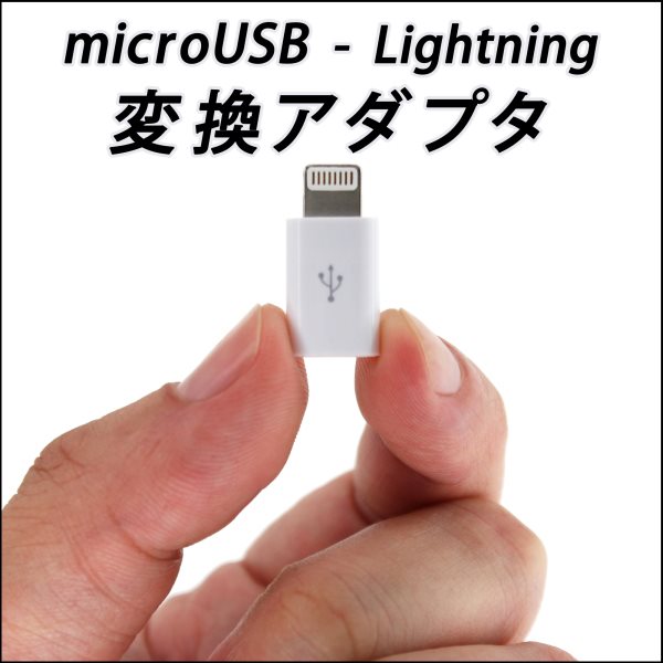 3122 【バルク包装】iOS 13.3(17C54)動作確認済 microUSB-Lightning 変換アダプタ/microUSB－ライトニング変換アダプタ【ネコポス対応】