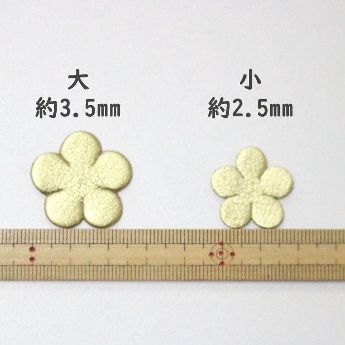 �쥶���ѡ��ġ��ե���5�۲֥��å� �羮��������20��� �饤�󥹥ȡ����20�ġ�