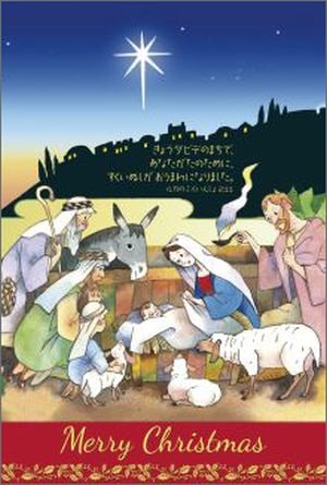 ꥹޥϥX17C  10˥å59418