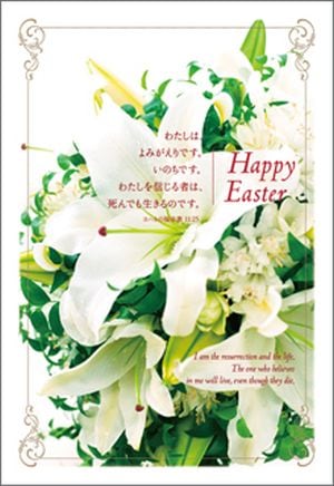 �����������ϥ�����10���16E01������սꡧ��ϥ�11:25��53108��