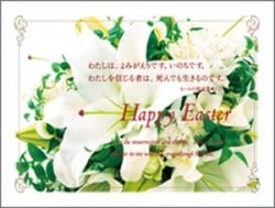 ����������1/2������(20���16E1/2A������սꡧ��ϥ�11:25��53128��