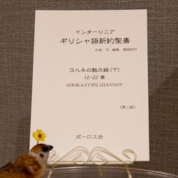 インターリニア ギリシャ語新約聖書 ヨハネの福音書 (下