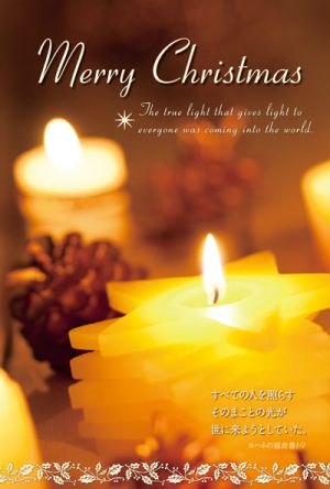 クリスマスハガキ X15b 10枚入り 聖書箇所 ヨハネ1 9 グッズ Wings いのちのことば社公式通販サイト