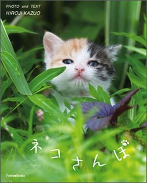聖所の猫 英語版 foil ４枚セット ネコさんぽ （17100）（いのちのことば社・フォレストブックス