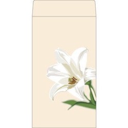 �ǥ����������������ѡ���ꡡ��82661��