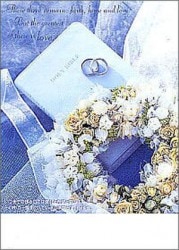 �뺧���ץ�������ѻ桡�꡼�� WP0320A��(50������)������սꡧ��������13��13��53124��