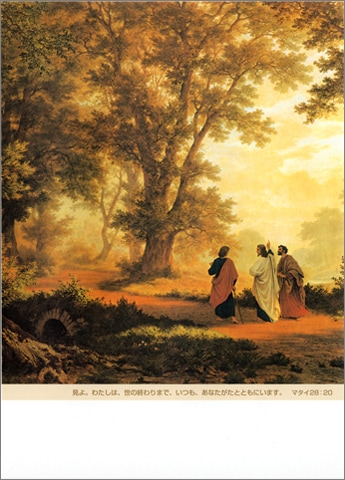 �ե꡼�ץ�������ѻ� (50������) FP0120B������սꡧ�ޥ���28:20��53217��