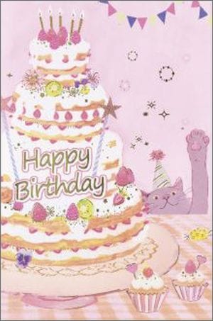 �С����ǡ������� B250-209�����祷����2�������ꡡ��52313��