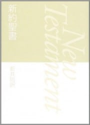 ƱʿˡNI240M(A6Ƚ)  (꡼)㡡80646