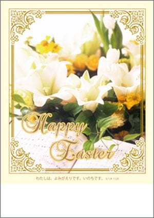 �����������ץ�������ѻ桡���EP13A����50������ˡ�����սꡧ��ϥ�11��25��53049��