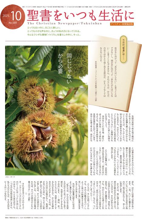 ꥹʹʡ10桡򤤤Ĥˡ43106