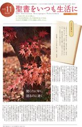 ꥹʹʡ11桡򤤤Ĥˡ43116