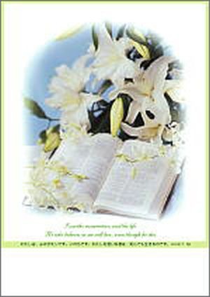 Ĥ���ѥץ�������ѻ桡EP0420A (50������)������սꡧ��ϥ�11��25��53041��