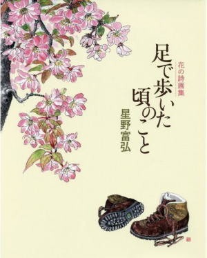 星野富弘《花の詩画集》 足で歩いた頃のこと （993629）（偕成社