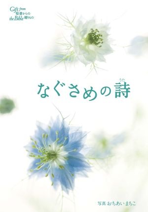 �������ۤʤ�����λ��ʤ����������������դ�����17441��