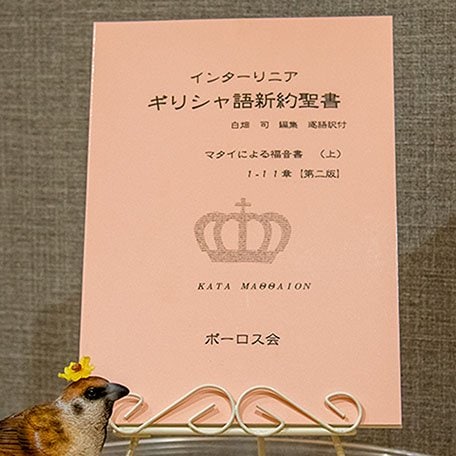 インターリニア ギリシャ語新約聖書 マタイ（上）1～11章 （38658