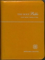 TEV35 �Ѹ����� ���åѡ��դ�������󥸡���71014��