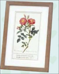 ɥƳۡƥåɡսꡧ138:857856