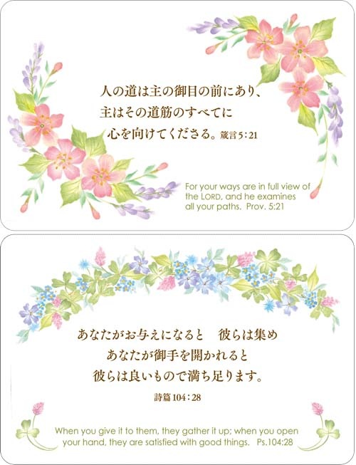 みことばカードセットblessing From God詩篇箴言 すべての商品 Wings いのちのことば社公式通販サイト