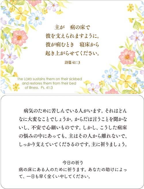 みことばカードセットblessing From God詩篇箴言 すべての商品 Wings いのちのことば社公式通販サイト