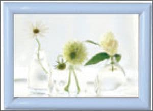 �ߥ˥ե졼��S �Ӥξ��֡�����սꡧ����30:5��57840��